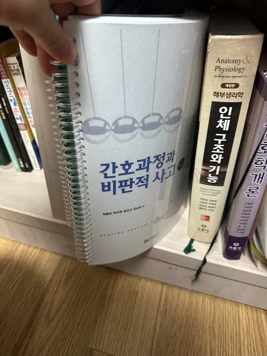 비판적 사고